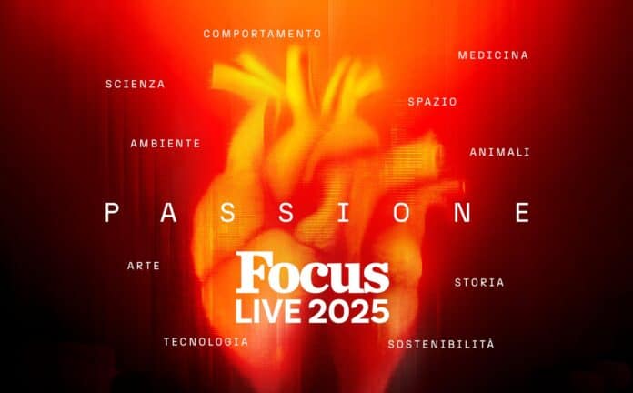 Focus Live 2025