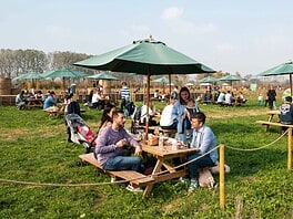 oasi ca granda zucca land milano