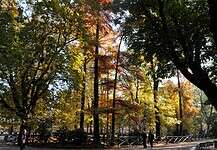 Milano d’autunno: passeggiate, quartieri e quell’atmosfera che solo novembre sa regalare