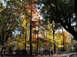 Milano d’autunno: passeggiate, quartieri e quell’atmosfera che solo novembre sa regalare