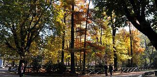 Milano d’autunno: passeggiate, quartieri e quell’atmosfera che solo novembre sa regalare