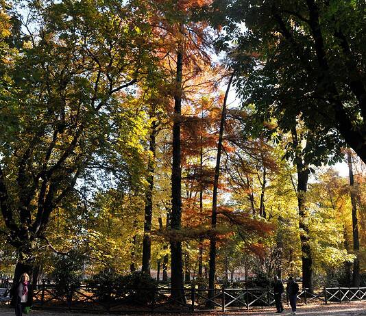 Milano d’autunno: passeggiate, quartieri e quell’atmosfera che solo novembre sa regalare