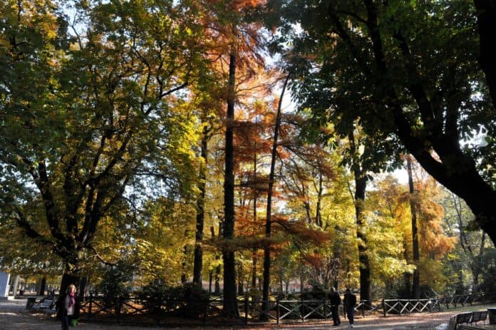 Milano d’autunno: passeggiate, quartieri e quell’atmosfera che solo novembre sa regalare