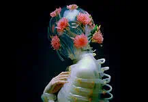 Other Intelligences: oltre l’umano e la macchina Other Intelligences