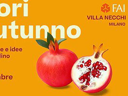 Colori d'autunno 2025