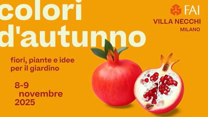 Colori d'autunno 2025 Colori d'autunno 2025