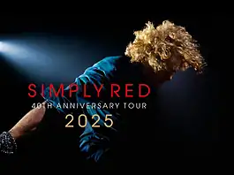 Concerto dei Simply Red