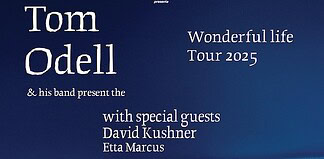 Concerto di Tom Odell