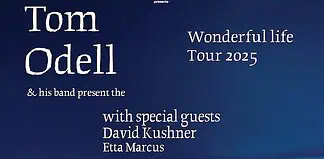 Concerto di Tom Odell