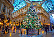 Gli alberi di Natale a Milano 2025: guida alle installazioni più belle in città