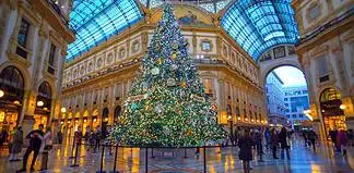 Gli alberi di Natale a Milano 2025: guida alle installazioni più belle in città