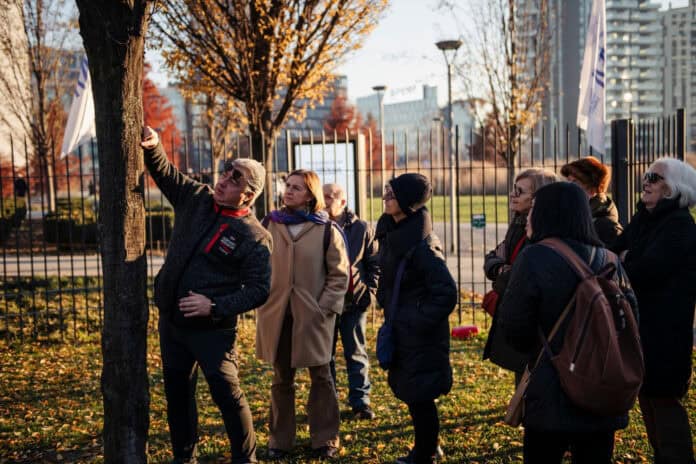 unnamed bam winter festival