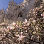 Temperature miti e meteo primaverile nelle ultime settimane di febbraio