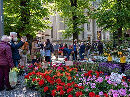 Fiera dell’Angelo 2026: fiori in tutta città e primavera