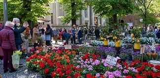 Fiera dell’Angelo 2026: fiori in tutta città e primavera