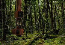 Forest of Desire: l'installazione segreta della DesignWeek nel Quadrilatero