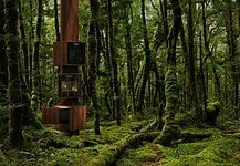 Forest of Desire: l'installazione segreta della DesignWeek nel Quadrilatero