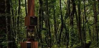 Forest of Desire: l'installazione segreta della DesignWeek nel Quadrilatero