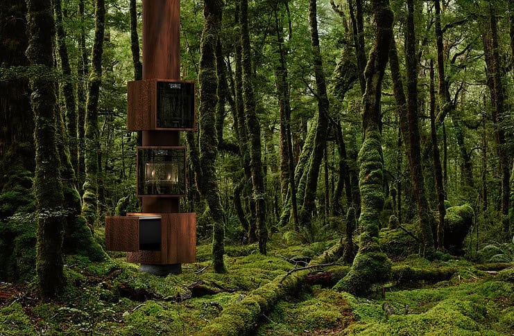 Forest of Desire: l'installazione segreta della DesignWeek nel Quadrilatero