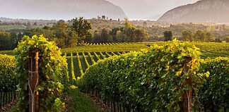 1º Maggio 2026: un giorno di relax tra laghi, terme e borghi da cartolina