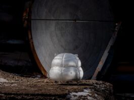 Disco on Mars: l’esperienza immersiva gratis che ti porta su Marte