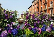 Fiori e Sapori al Naviglio Grande: primavera, profumi e artigianato Fiori e Sapori al Naviglio Grande: primavera, profumi e artigianato