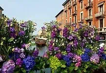 Fiori e Sapori al Naviglio Grande: primavera, profumi e artigianato