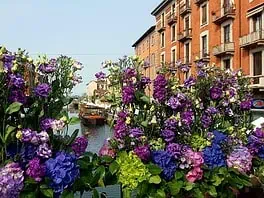 Fiori e Sapori al Naviglio Grande: primavera, profumi e artigianato