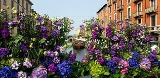 Fiori e Sapori al Naviglio Grande: primavera, profumi e artigianato