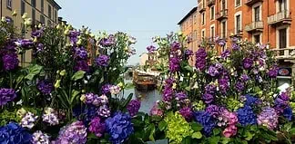 Fiori e Sapori al Naviglio Grande: primavera, profumi e artigianato