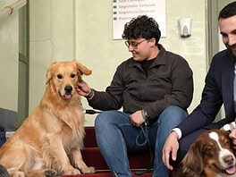 A Corsico i cani entrano in ufficio: “pet friendly” per il benessere dei dipendenti