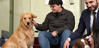 A Corsico i cani entrano in ufficio: “pet friendly” per il benessere dei dipendenti