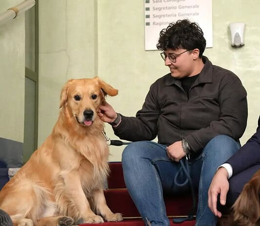 A Corsico i cani entrano in ufficio: “pet friendly” per il benessere dei dipendenti