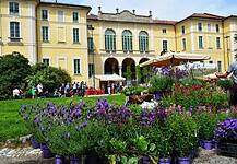 Milano nel weekend: gli eventi da non perdere dall’8 al 10 maggio