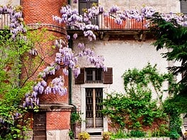 Il giardino segreto di Milano dove entri gratis e ti rifugi dal caldo