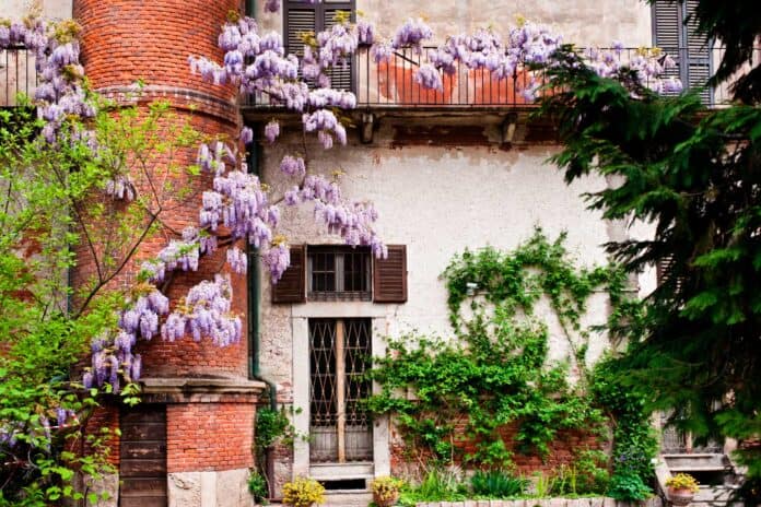 Il giardino segreto di Milano dove entri gratis e ti rifugi dal caldo Il giardino segreto di Milano dove entri gratis e ti rifugi dal caldo