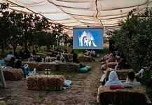 Un cinema tra frutteti e picnic a un passo da Milano