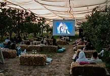 Un cinema tra frutteti e picnic a un passo da Milano Un cinema tra frutteti e picnic a un passo da Milano