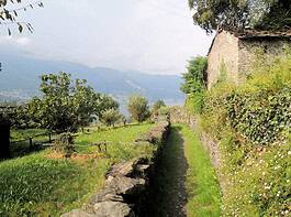 Trekking vicino Milano: 5 sentieri tra lago e montagne