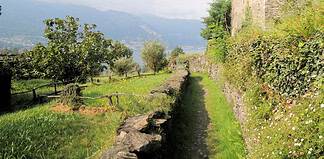 Trekking vicino Milano: 5 sentieri tra lago e montagne