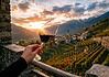 Morbegno in Cantina: tre weekend alla scoperta del vino 