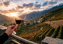 Morbegno in Cantina: tre weekend alla scoperta del vino 