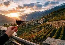 Morbegno in Cantina: tre weekend alla scoperta del vino 