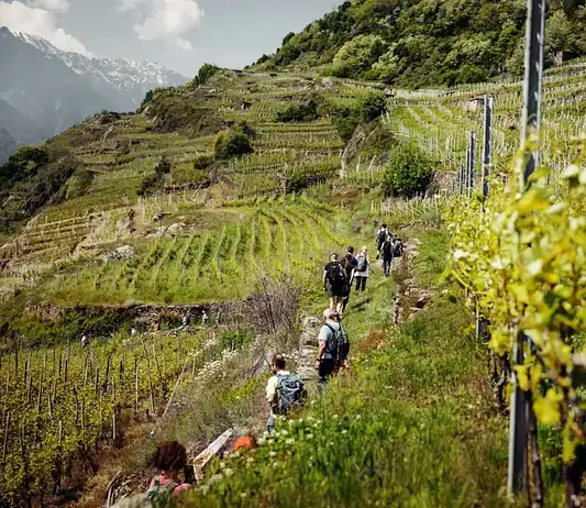 Due giorni in Valtellina tra pizzoccheri e vino, pernottando a Teglio
