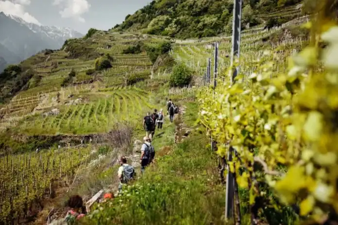 Due giorni in Valtellina tra pizzoccheri e vino, pernottando a Teglio