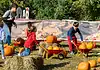 Bambini che giocano con carriole e zucche a Zucca Land Milano 2026 all'Oasi Ca' Granda