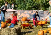 Zucca Land Milano 2026: campo di zucche, prezzi e orari Bambini che giocano con carriole e zucche a Zucca Land Milano 2026 all'Oasi Ca' Granda