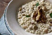 A un’ora da Milano torna la sagra del fungo porcino: piatti a tema e festa risotto ai funghi porcini.
