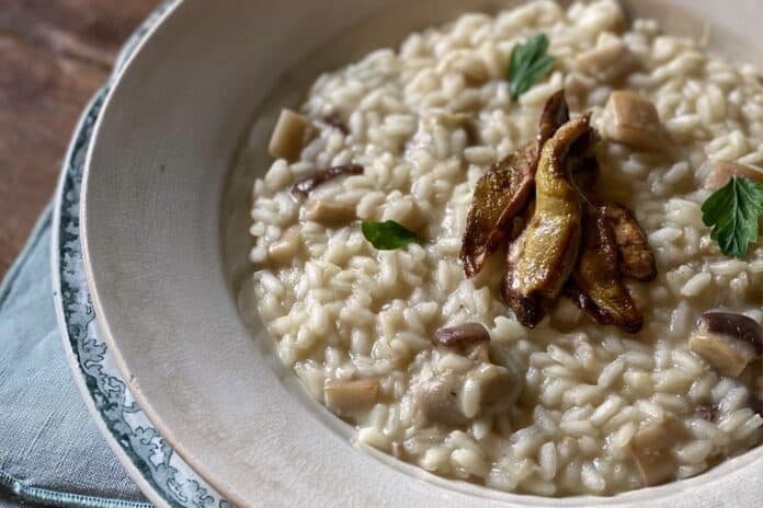 risotto ai funghi porcini. risotto ai funghi porcini.