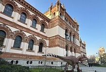 Halloween al Museo di Storia Naturale di Milano 